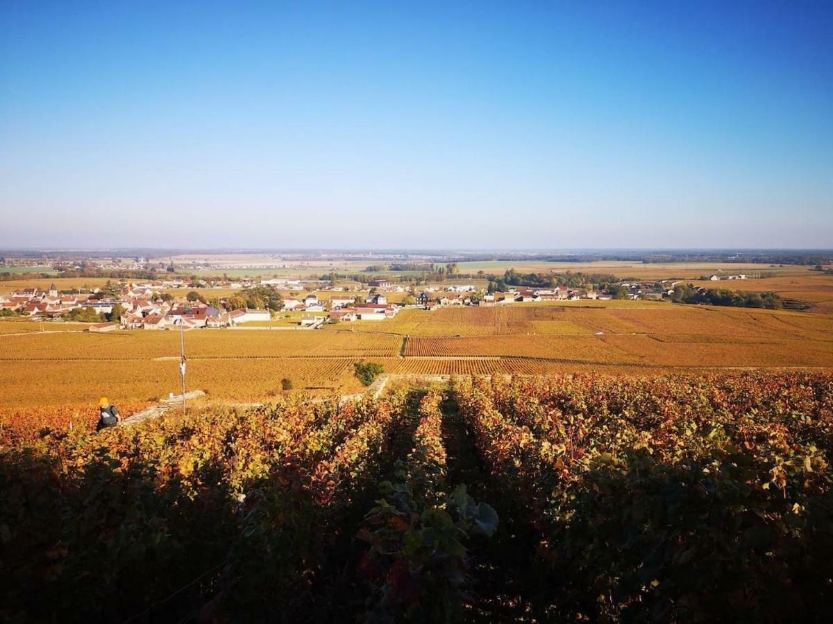 La Layotte Villa Vosne-Romanee Luaran gambar